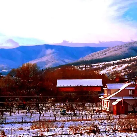 Ivanna Guest house Deliatyn