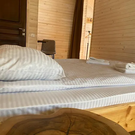 Guest house Ivanna Deliatyn