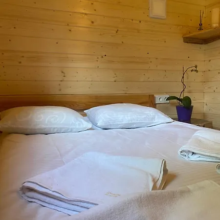 Ivanna Affittacamere Dilyatyn