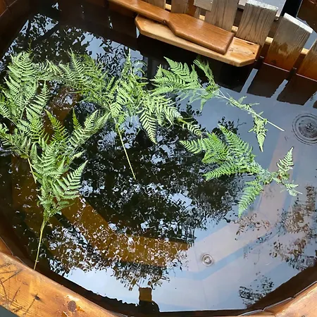 Affittacamere Ivanna Dilyatyn